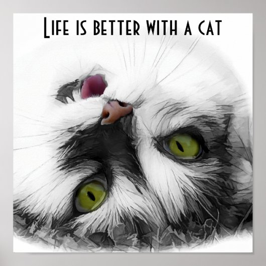 キャッおもしろいトクラシック ポスター (正面)