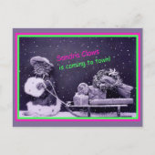 キャッおもしろいトクリスマスヴィンテージ ポストカード (正面)