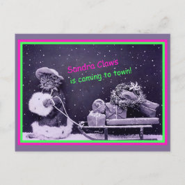 キャッおもしろいトクリスマスヴィンテージ ポストカード