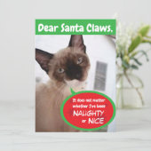 キャッおもしろいトサンタクローズホリデーグリーティングカード シーズンカード (スタンド正面)