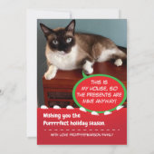 キャッおもしろいトサンタクローズホリデーグリーティングカード シーズンカード (裏面)