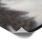 キャッおもしろいトスターギャザー ポスター (角)