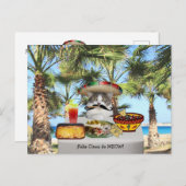 キャッおもしろいトハッピーシンコデマヨ ポストカード (正面/裏面)