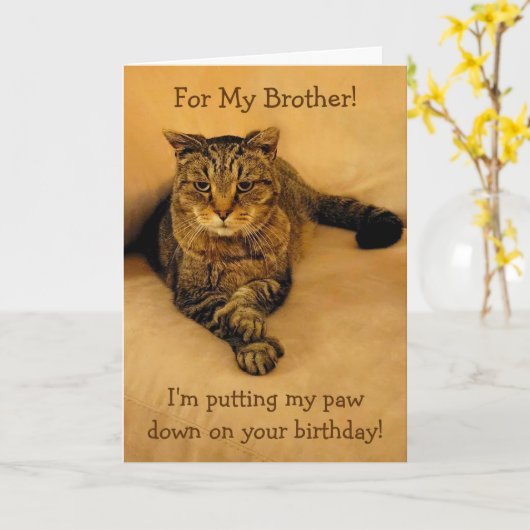 キャッおもしろいトブラザー誕生日 カード (黄色い花)