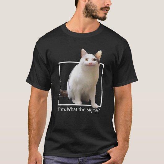 キャッおもしろいトミーム引用文Erm What Sigma 男性へ Women Tシャツ (正面)