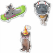 キャッおもしろいトミーム シール (正面)