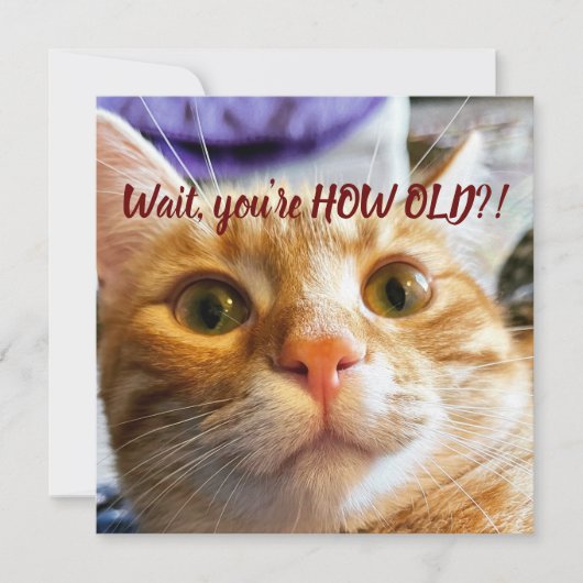 キャッおもしろいト誕生日 (正面)