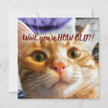 キャッおもしろいト誕生日