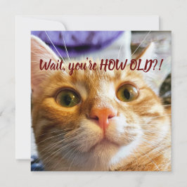 キャッおもしろいト誕生日