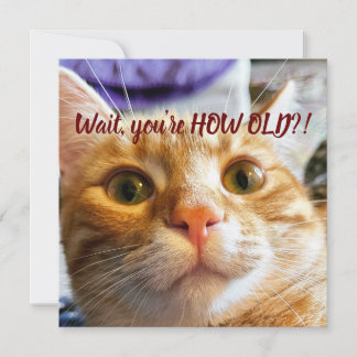 キャッおもしろいト誕生日