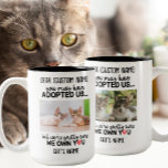 キャッおもしろい親愛トことわざ |カスタム猫の写真と名前 ツートーンマグカップ<br><div class="desc">それは完璧笑わされるで温かい引用文だ！猫カスタマイズのことわざの写真が入ったマグカップは「自分が養子になったかもしれないけど、きっと自分が飼っているのかわいらしよ」と素晴らしは、猫が猫を支配しているという共通の認識の中でおもしろいを撮る方法だ。マグカップは、あなたの素晴らし毎日のコーヒールーチンに猫好きまたはおもしろいを追加するためのギフトを作る。人間と猫との特別な絆を認める軽やかな方法だ。猫が自分の目で自分を見ているのかもしれない！</div>