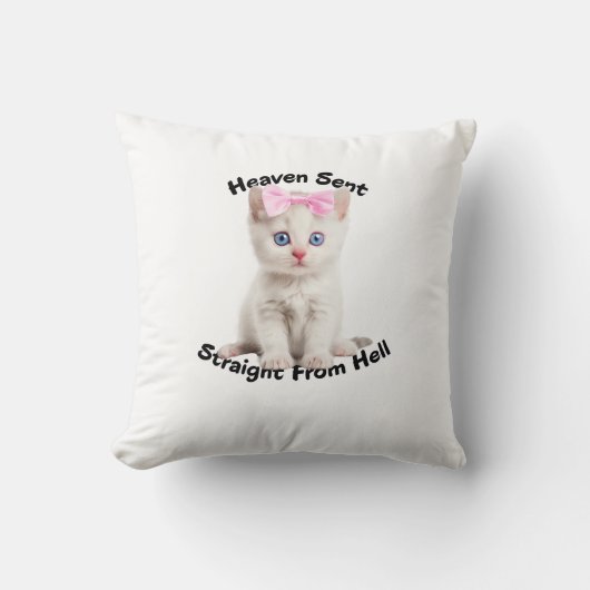 キャッお洒落ト クッション (正面)