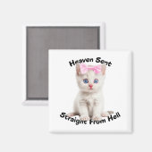 キャッお洒落ト マグネット (正面/裏面)