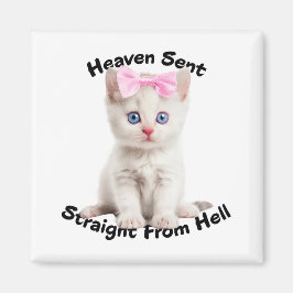 キャッお洒落ト マグネット