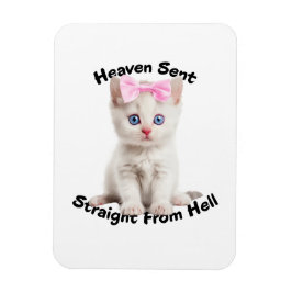 キャッお洒落ト マグネット