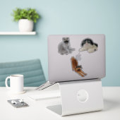 キャッかわいらしトミーム シール (デスク上のノートパソコン)