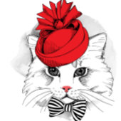 キャッエレガントト Tシャツ