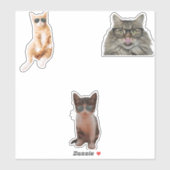 キャッカッコいいトミーム シール (シート)