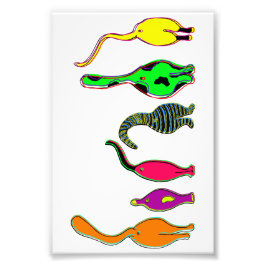 キャッカラフルトお尻 フォトプリント           