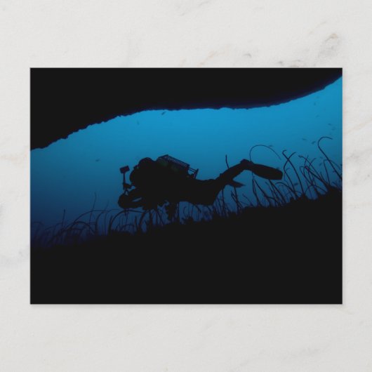 キャッスルに飛び込む ポストカード (正面)