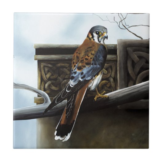 キャッスルハンター タイル (正面)