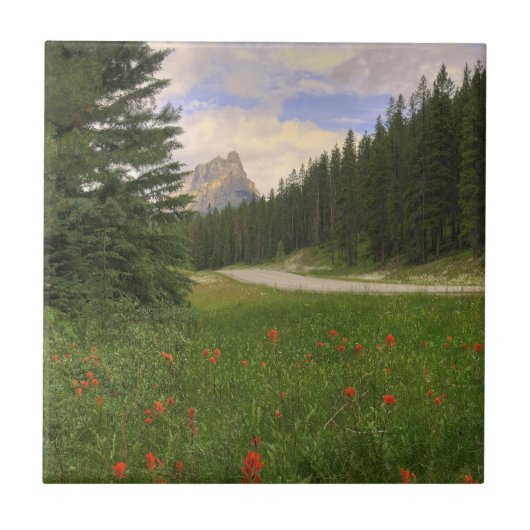 キャッスルマウンテンバンフ タイル (正面)