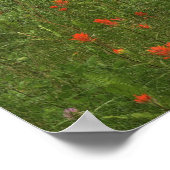 キャッスルマウンテンバンフ ポスター (角)