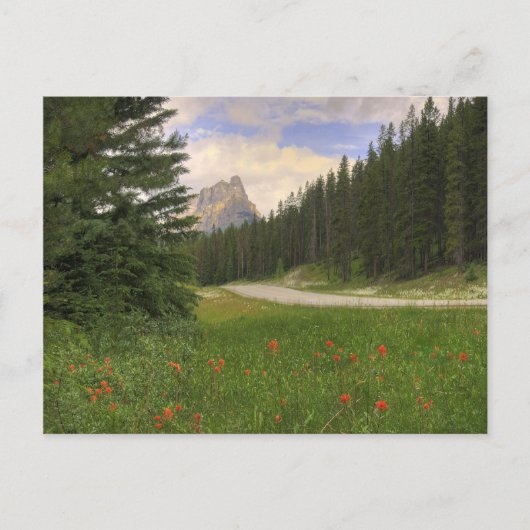 キャッスルマウンテン ポストカード (正面)