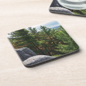 キャッスルマウンドの森の谷を見渡す コースター (左側)