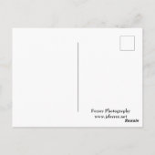 キャッスルマウンドの森の谷を見渡す ポストカード (裏面)