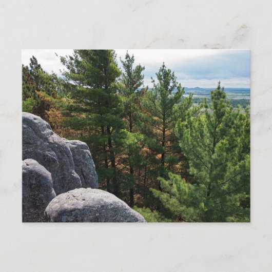 キャッスルマウンドの森の谷を見渡す ポストカード (正面)