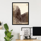 キャッスルロックSD 1888 ポスター (ホームオフィス)