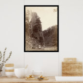 キャッスルロックSD 1888 ポスター (キッチン)