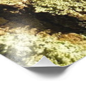 キャッチされたチラシ – フォトプリント (角)