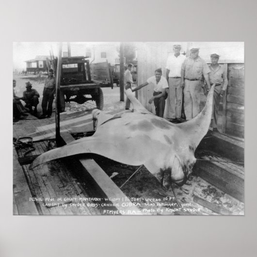 キャッチされたマレーの見解 ポスター (正面)