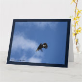 キャッチでのゼロイング カード (黄色い花)