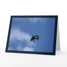 キャッチでのゼロイング