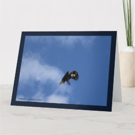 キャッチでのゼロイング カード