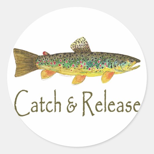キャッチとリリースの魚釣り ラウンドシール (正面)