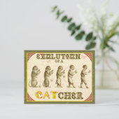 キャッチャーの進化 ポストカード (スタンド正面)