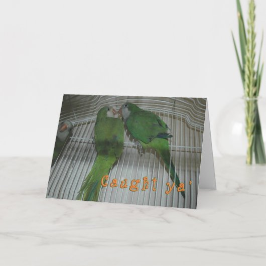 キャッチヤ カード (正面)