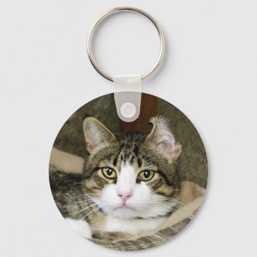 キャッチ キーホルダー (正面)