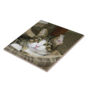 キャッチ タイル (側面)