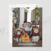 キャッツおもしろいフェリズチンコデマヨ ポストカード (正面/裏面)