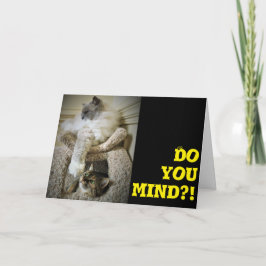 キャッツおもしろい、カード カード