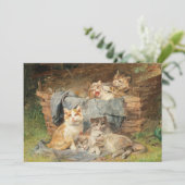 キャッツよくはしゃぐ | ジュリアス・アダム (スタンド正面)