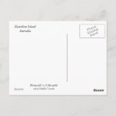 キャッツアイベイ ポストカード (裏面)