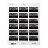 キャッツアイ住所 シール (フルシート)