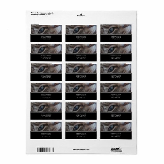 キャッツアイ住所 シール (フルシート)