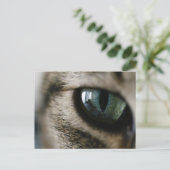 キャッツアイ葉書 ポストカード (スタンド正面)